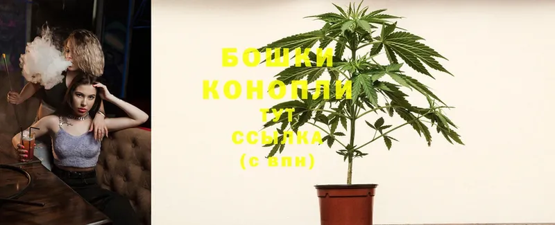 Канабис White Widow  Кострома 